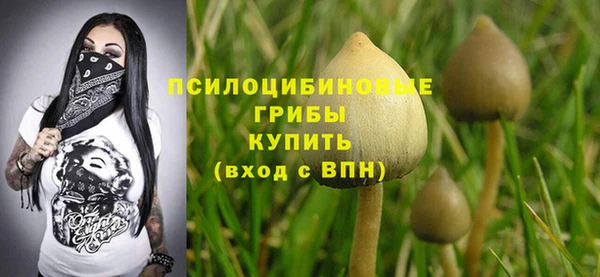 соль курить ск Алексин