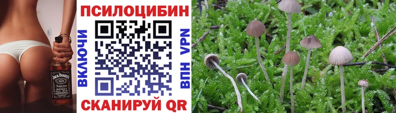 купить наркотики цена  Ува  Псилоцибиновые грибы мицелий 